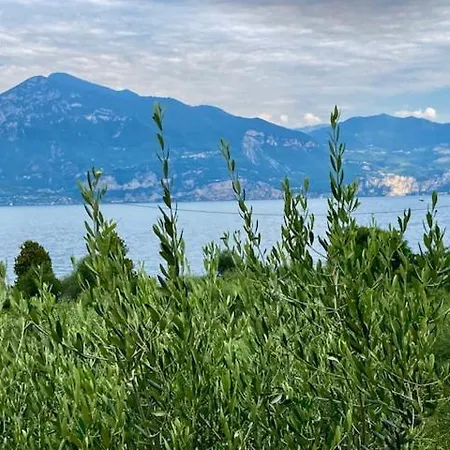 Hotel Zanetti Torri Del Benaco