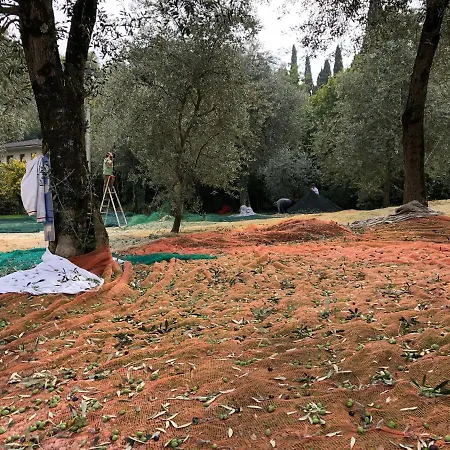 Szálloda Zanetti Torri del Benaco