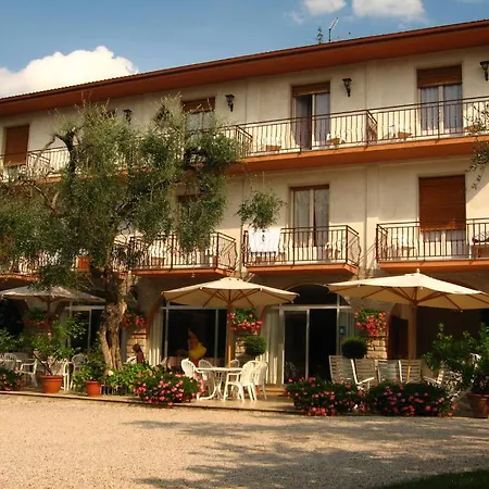 Zanetti Hotel Torri Del Benaco