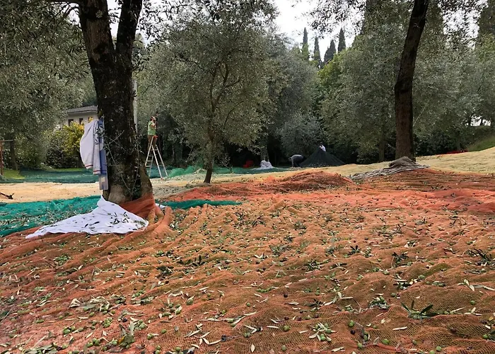 Hotell Zanetti Torri Del Benaco