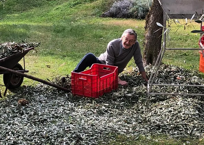 Zanetti Ξενοδοχείο Torri Del Benaco