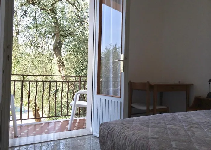 Zanetti * Torri Del Benaco